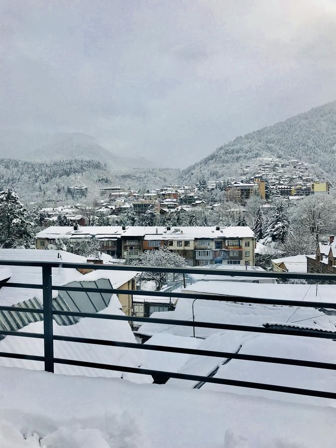 Borjomi Inn Екстериор снимка